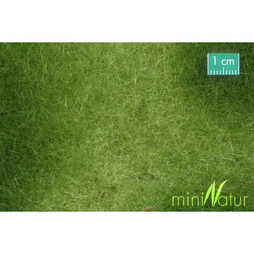Mininatur Swamp meadow - Spring - ca. 31,5x25cm - H0 / TT (723-21S)