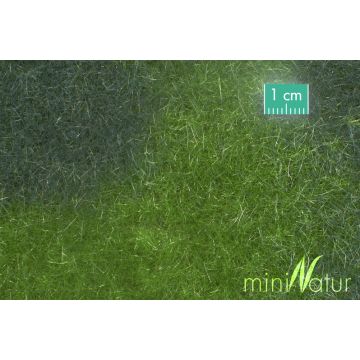 Mininatur Swamp meadow - Summer - ca. 31,5x25cm - H0 / TT (723-22S)