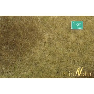 Mininatur Swamp meadow - Late fall - ca. 31,5x25cm - H0 / TT (723-24S)