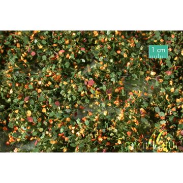 Mininatur Weed tufts - Early fall - ca 7,5 x 4 cm - 1:45+ (725-33MS)