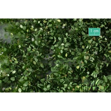 Mininatur Weed tufts - Summer - ca. 15x4cm - 1:45+ (725-32S)