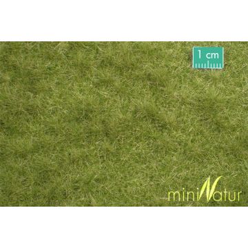 Mininatur Cattle pasture - Early fall - ca. 31,5x25cm - H0 / TT (713-23S)