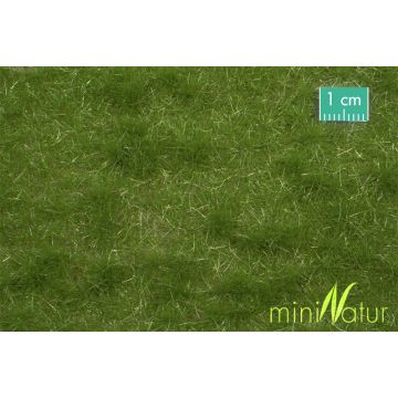 Mininatur Cattle pasture - Summer - ca.15x8 cm - H0 / TT (713-22MS)