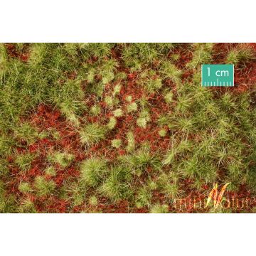 Mininatur Overgrown forest ground cover - Early fall - ca. 31,5x25cm - H0 / TT (741-23S)