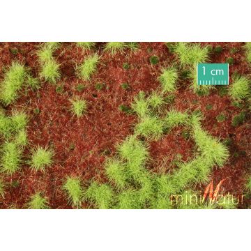 Mininatur Overgrown forest ground cover - Spring - ca.15x8 cm - H0 / TT (741-21MS)