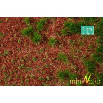 Mininatur Overgrown forest ground cover - Summer - ca. 31,5x25cm - 1:45+ (741-32S)