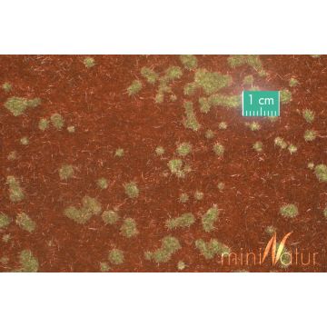 Mininatur Forest ground cover - Early fall - ca. 31,5x25cm - 1:45+ (740-33S)