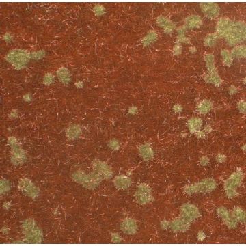 Mininatur Forest ground cover - Late fall - ca. 31,5x25cm - 1:45+ (740-34S)
