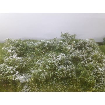 Mininatur Wood glade - Summer - ca. 31,5x25 cm - H0 / TT (742-22S)
