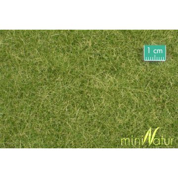 Mininatur Meadow - Early fall - ca. 31,5x25cm - 1:45+ (720-33S)