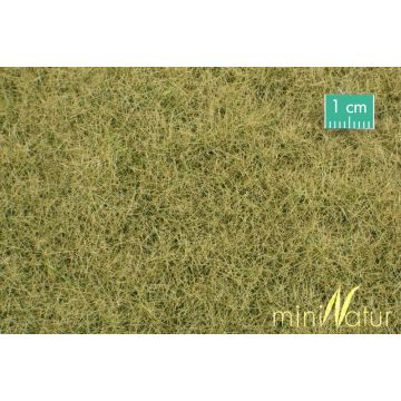 Mininatur Meadow - Late fall - ca. 31,5x25cm - 1:45+ (720-34S)