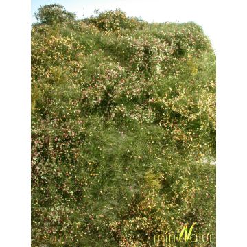 Mininatur Proliferation area - Early fall - ca. 25x15,5cm - H0 / TT (732-23S)