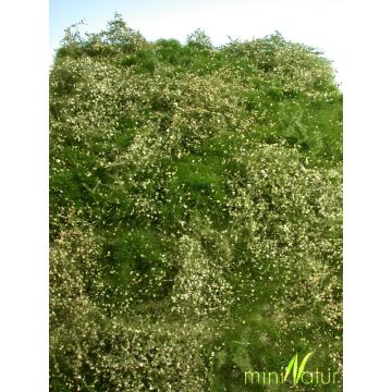 Mininatur Proliferation area - Summer - ca. 25x15,5cm - H0 / TT (732-22S)