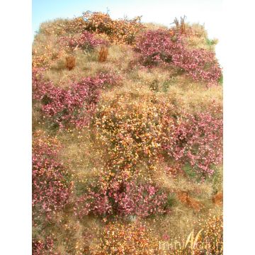 Mininatur Proliferation area - Late fall - ca. 25x15,5cm - H0 / TT (732-24S)