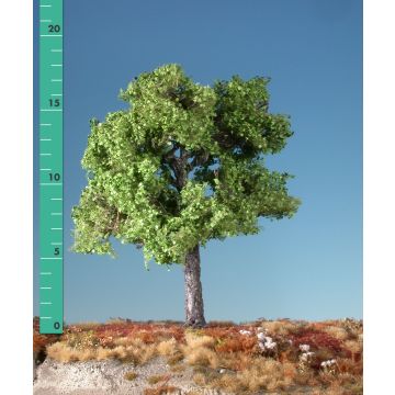 Silhouette Maple - Spring - 3 (ca. 22-29cm) - 1:45+ (230-31)