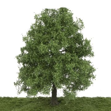 Silhouette Maple - Spring - 25-29cm (331-001-1)