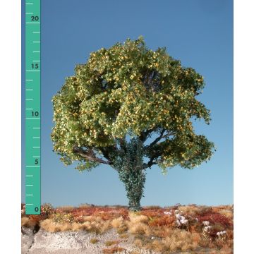 Silhouette Maple overgrown with ivy - Early fall - 2 (ca. 15-20cm) - H0 / TT (231-23)