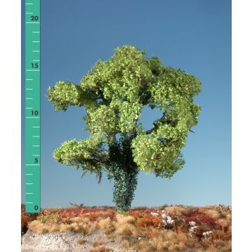 Silhouette Maple overgrown with ivy - Spring - 2 (ca. 15-20cm) - H0 / TT (231-21)