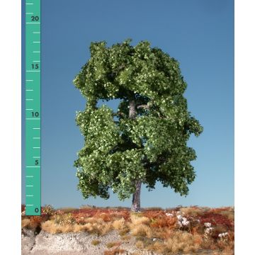 Silhouette Maple - Summer - 0 (< ca. 8cm) (230-02)