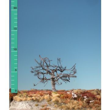 Silhouette Appletree - Barren - 1 (ca. 10-13cm) (226-10)