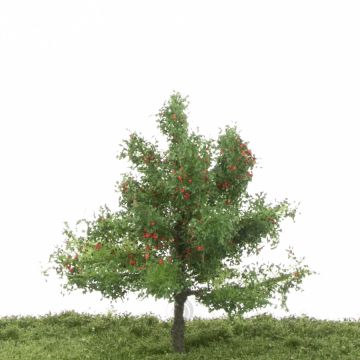Silhouette Appletree - Summer - 1 (ca. 12-16cm) (226-42)