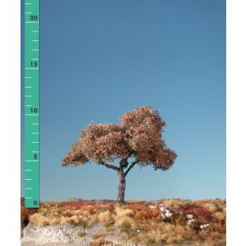 Silhouette Appletree - Late fall - 0 (< ca. 8cm) (226-04)