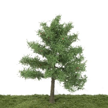 Silhouette Appletree - Late fall - 20-24cm (326-001-4)