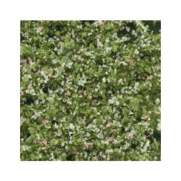 Silhouette Apple tree blossoms - Spring - ca. 50x31,5 cm - 1:45+ (926-31H)