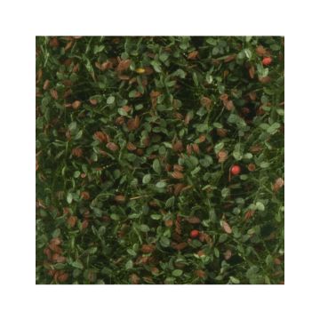 Silhouette Apple tree leaves with apples - Early fall - ca. 27x16,5cm - H0 / TT (926-23)