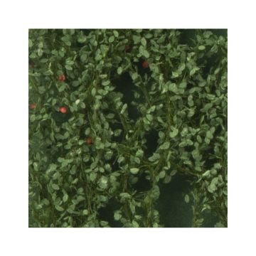 Silhouette Apple tree leaves with apples - Summer - ca. 50x31,5cm - H0 / TT (926-22H)