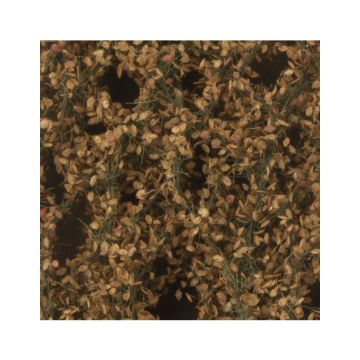 Silhouette Apple tree leaves with apples - Late fall - ca. 50x31,5cm - H0 / TT (926-24H)