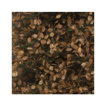 Silhouette Apple tree leaves with apples - Late fall - ca. 27x15 cm - 1:45+ (926-34)