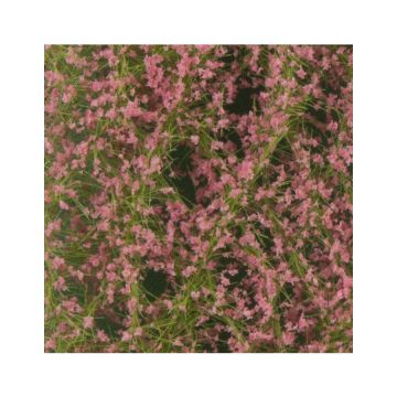 Silhouette Apricot blossoms - Spring - ca. 27x16,5cm - H0 / TT (928-21)