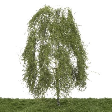 Silhouette Birch - Spring - 40-45cm (311-004-1)