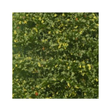 Silhouette Birch foliage - Early fall - ca. 27x16,5cm - N / Z (910-13)