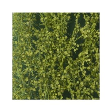 Silhouette Birch foliage - Spring - ca. 15x4cm - H0 / TT (910-21S)