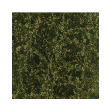 Silhouette Birch foliage - Summer - ca. 27x16,5cm - N / Z (910-12)