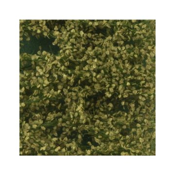 Silhouette Birch foliage - Summer - ca. 50x31,5cm - H0 / TT (910-22H)