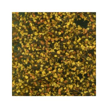 Silhouette Birch foliage - Late fall - ca. 50x31,5cm - H0 / TT (910-24H)