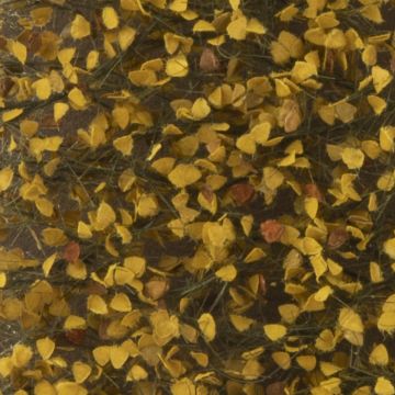 Silhouette Birch foliage - Late fall - ca. 27x16,5cm - 1:45+ (910-34)