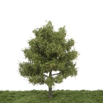 Silhouette Pear tree - Late fall - 25-29cm (328-002-4)