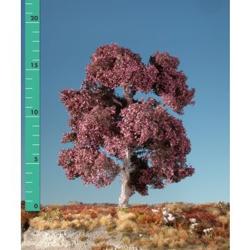 Silhouette Copper beech - Summer - 3 (ca. 22-29cm) - 1:45+ (222-32)