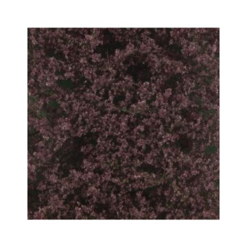 Silhouette Beech foliage - Summer - ca. 27x16,5cm - N / Z (922-12)