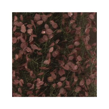 Silhouette Beech foliage - Summer - ca. 27x16,5cm - 1:45+ (922-32)