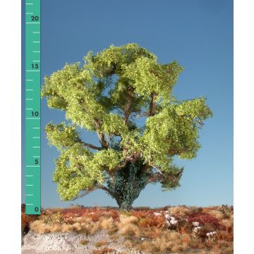 Silhouette Beech overgrown with ivy - Spring - 2 (ca. 15-20cm) - H0 / TT (221-21)