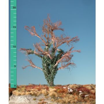 Silhouette Beech overgrown with ivy - Summer - 2 (ca. 15-20cm) - H0 / TT (221-22)