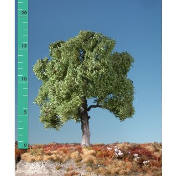 Silhouette Beech - Summer - 2 (ca. 15-20cm) - H0 / TT (220-22)
