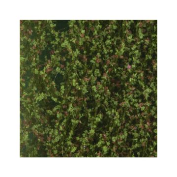 Silhouette Beech foliage - Early fall - ca. 27x16,5cm - N / Z (920-13)