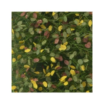 Silhouette Beech foliage - Early fall - ca. 27x16,5cm - 1:45+ (920-33)