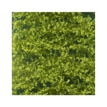 Silhouette Beech foliage - Spring - ca. 15x4cm - N / Z (920-11S)